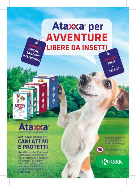 ATAXXA
