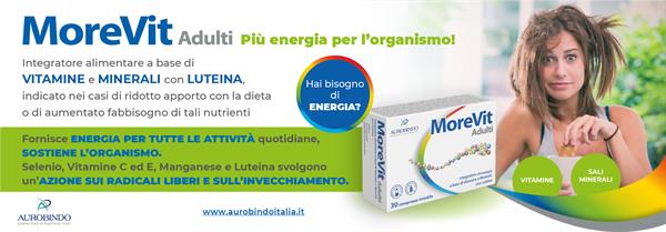 AUROBINDO BANNER MOREVIT