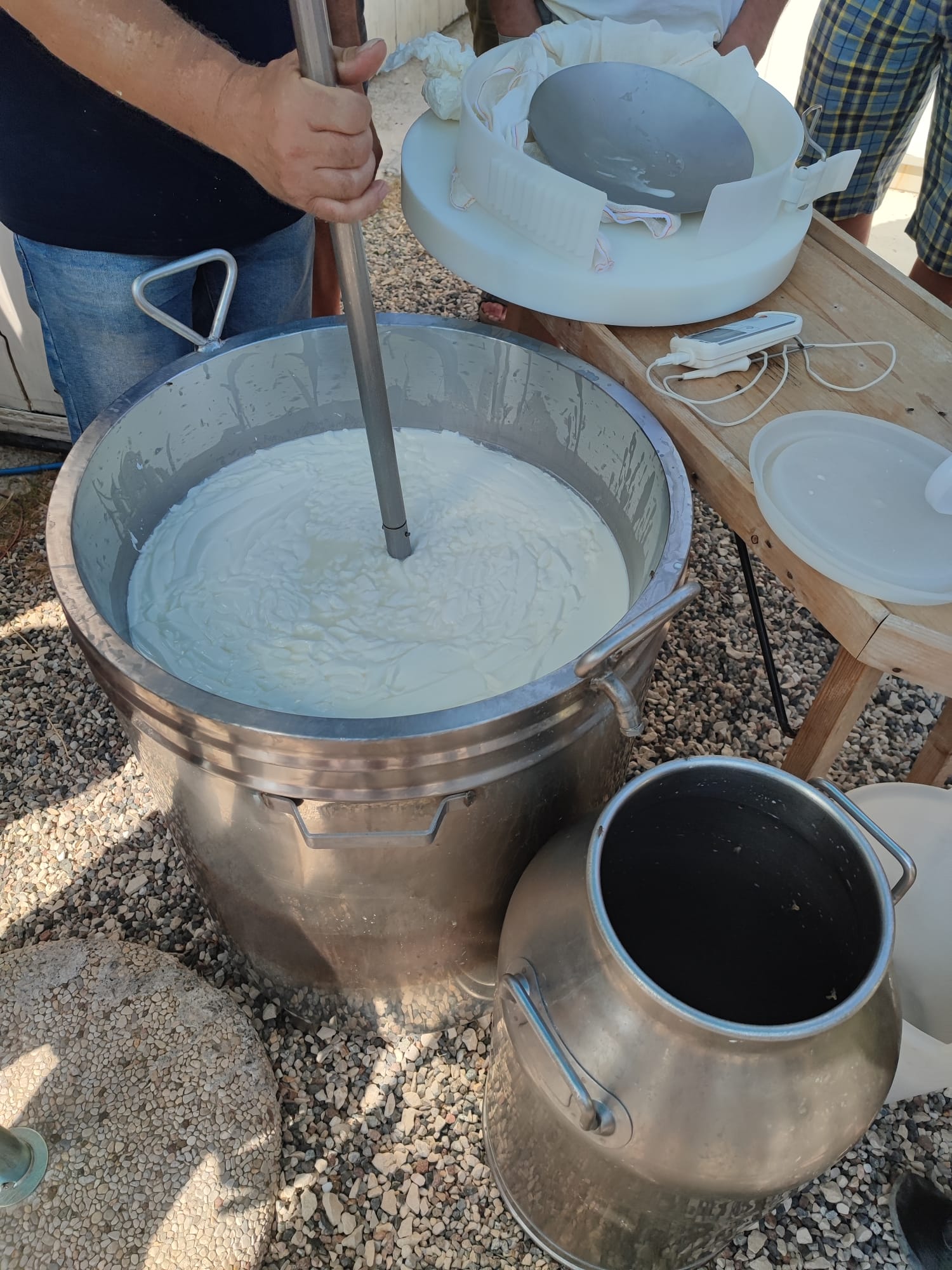 Evviva i fermenti lattici
