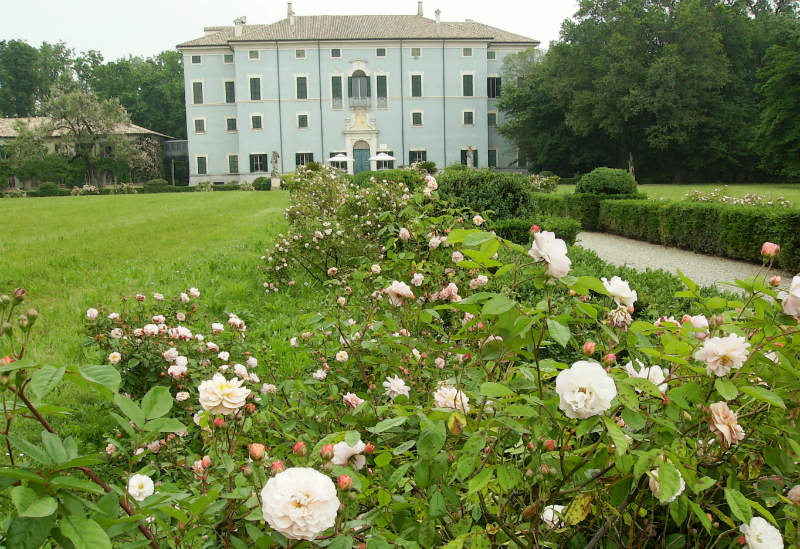 Parma, De Gustibus - X edizione