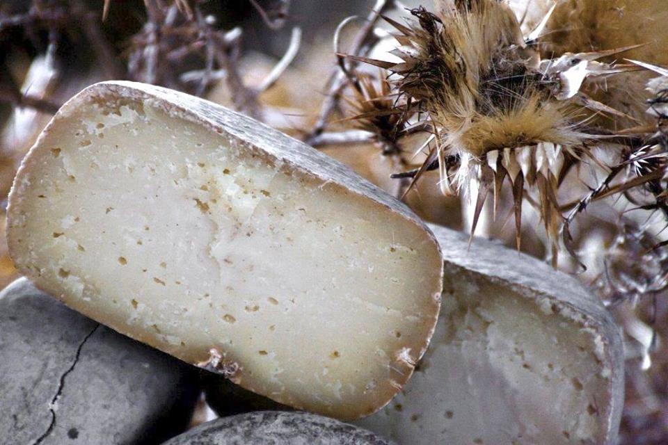 Firenze, Pecorino delle Balze Volterrane DOP