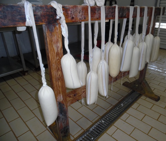 Lomazzo (CO), Degustazione di formaggi e prodotti greci