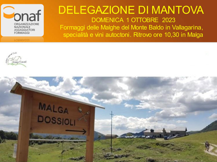 Formaggi delle Malghe del Monte Baldo in Vallagarina