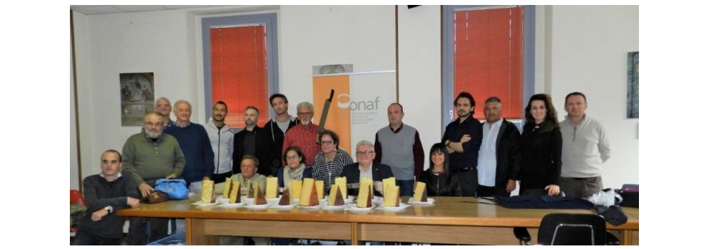 I risultati del Concorso Bagoss