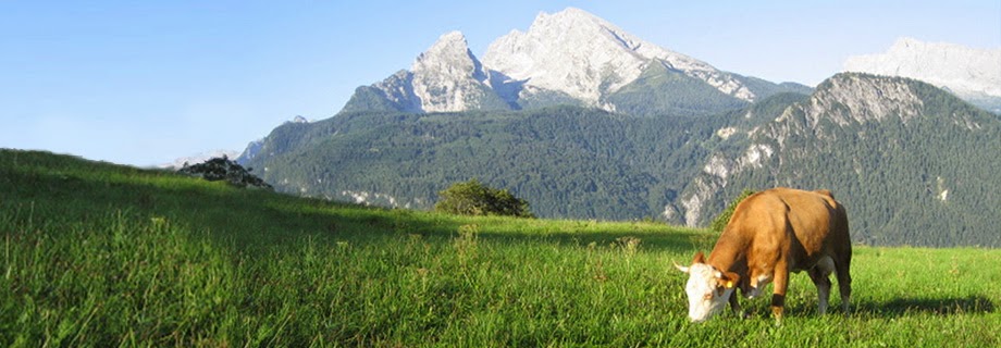 Formaggi bavaresi e austriaci