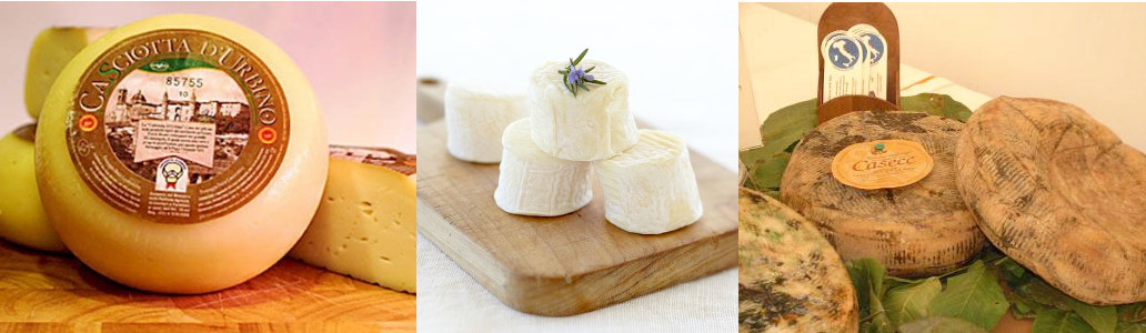 L'Aquila, Formaggi, vini e olio delle Marche