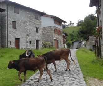 Cusino (CO), Escursione al borgo di Male' e Alpe Logone