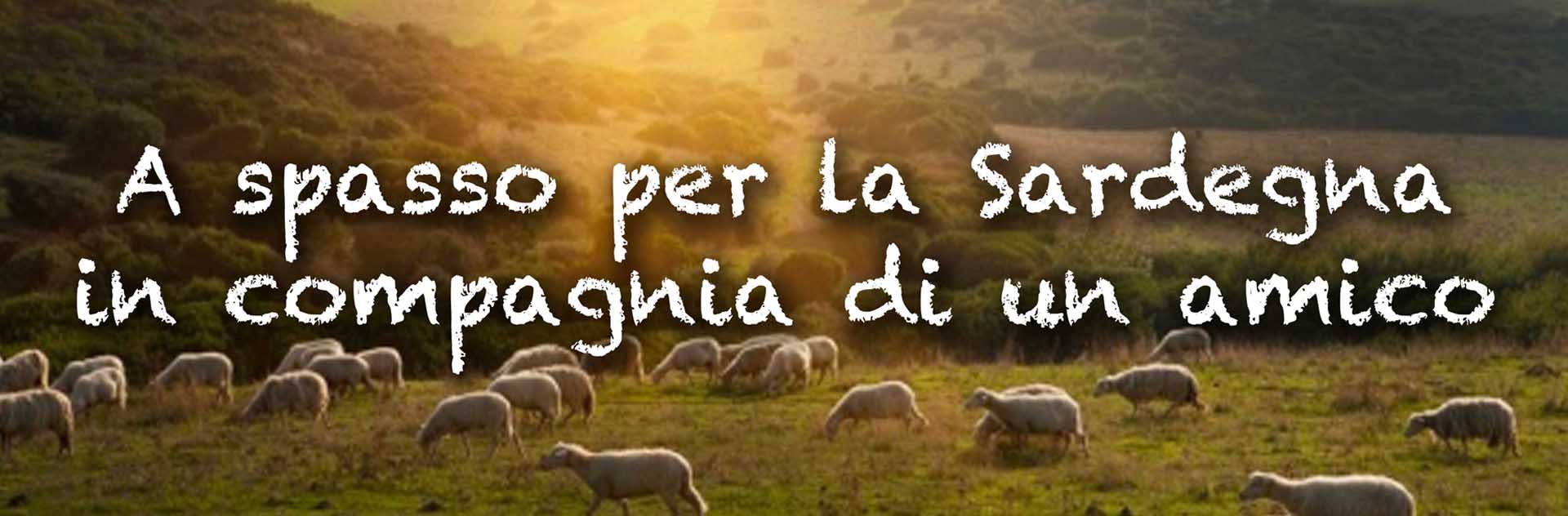 Milano, a spasso per la Sardegna in compagnia di un amico