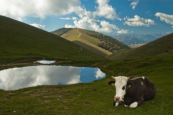 16^ Festa della Montagna sul Monte Cesen