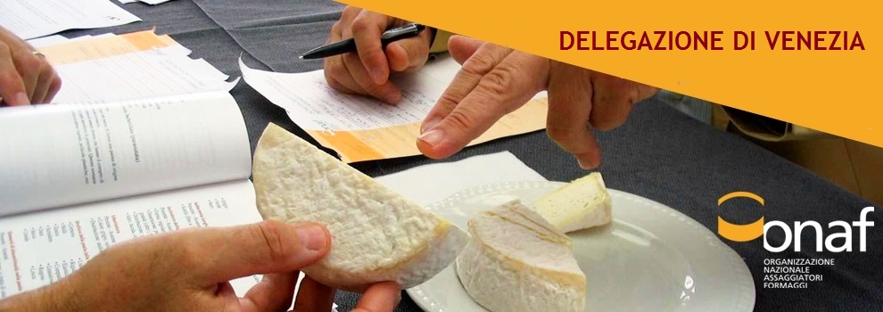 Venezia, rinnovati gli incarichi della Delegazione Onaf