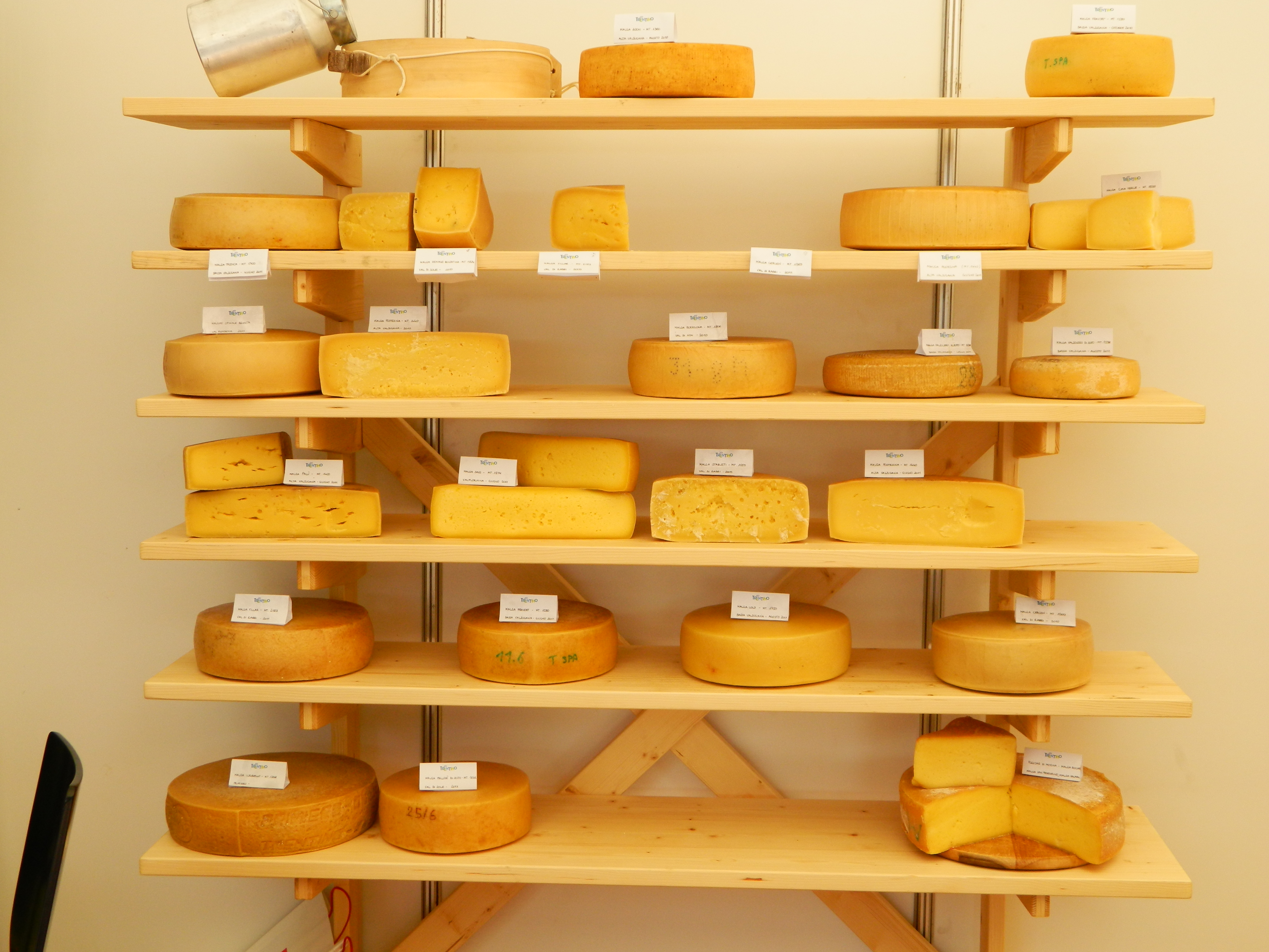 Corso Per Assaggiatori di Formaggi