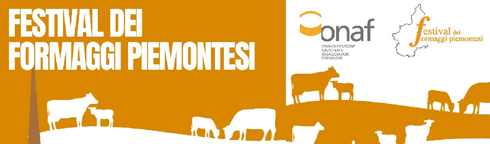 concorso