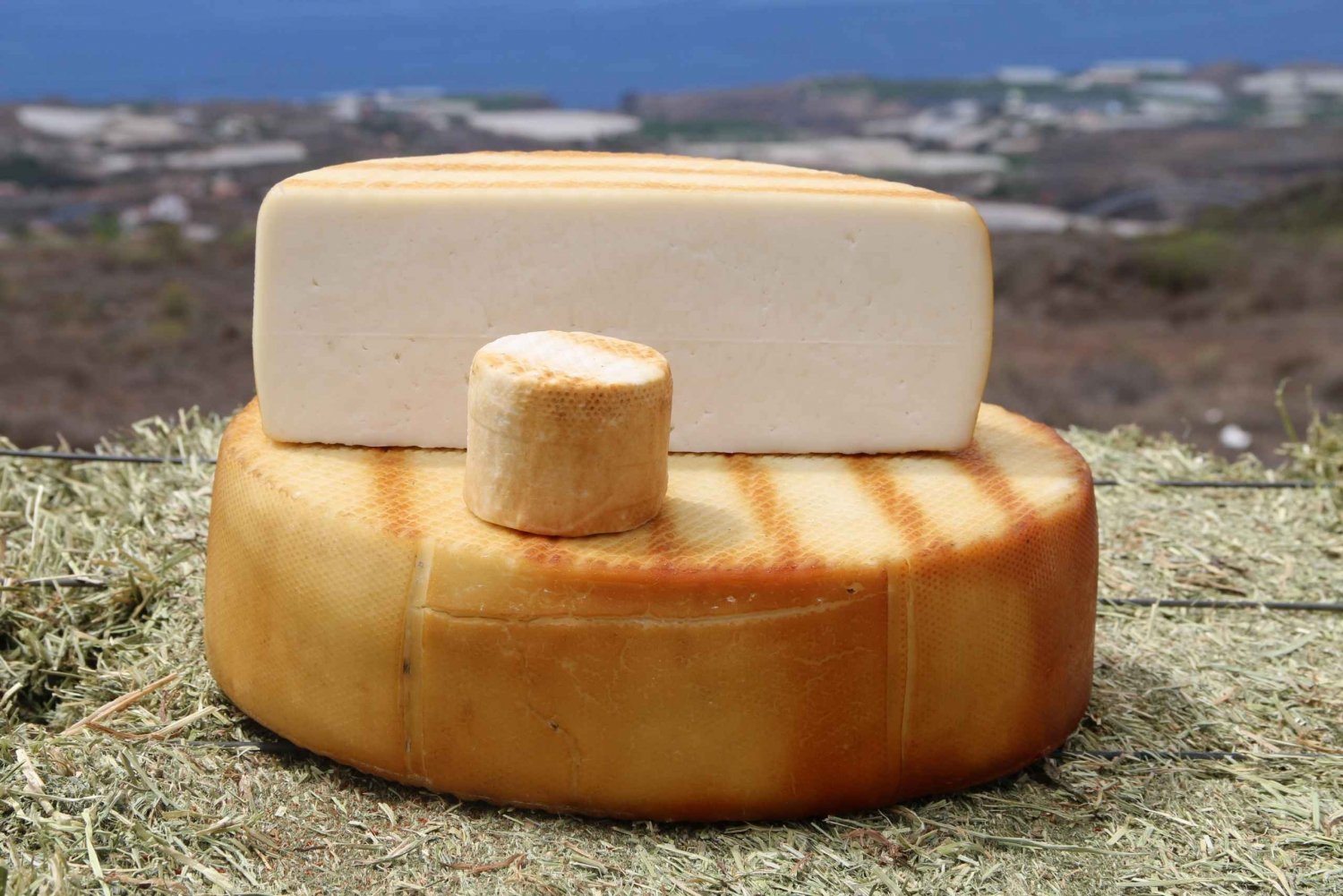 Lecco, alla scoperta dei formaggi di fattoria