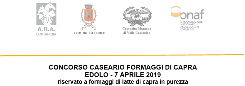 concorso