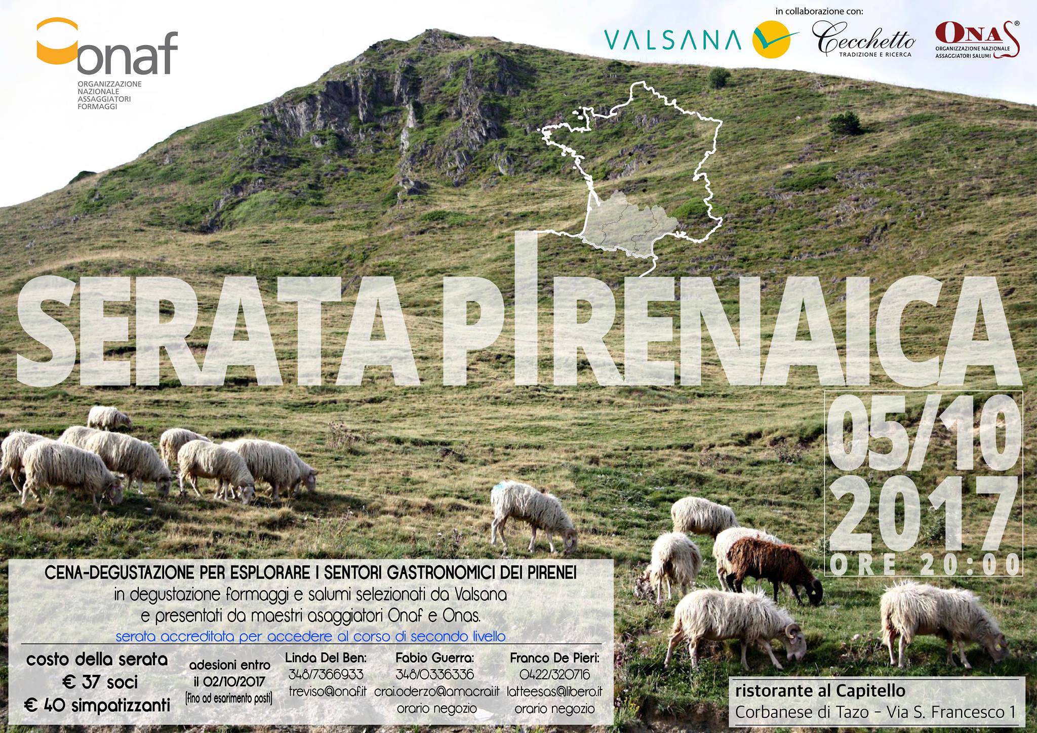 SERATA PIRENAICA