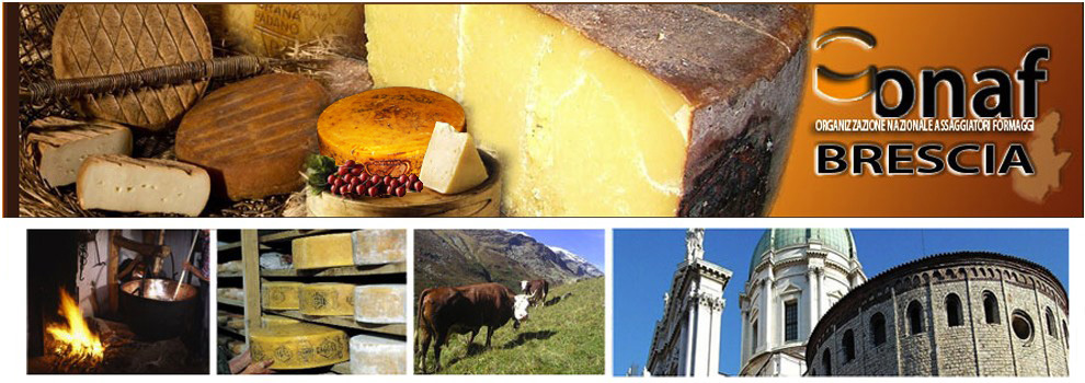 Formaggio e Miele