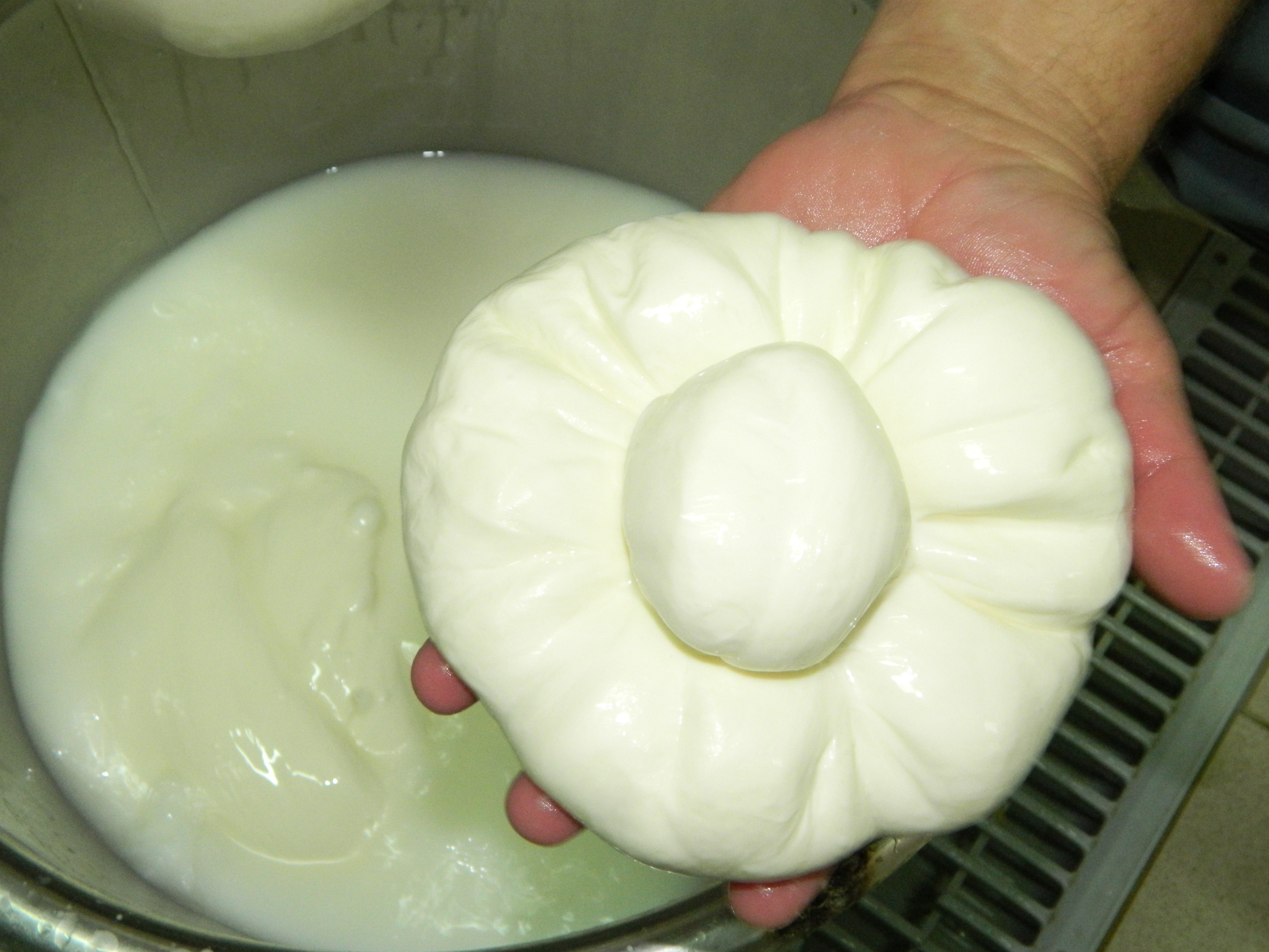 Buon formaggio 2016