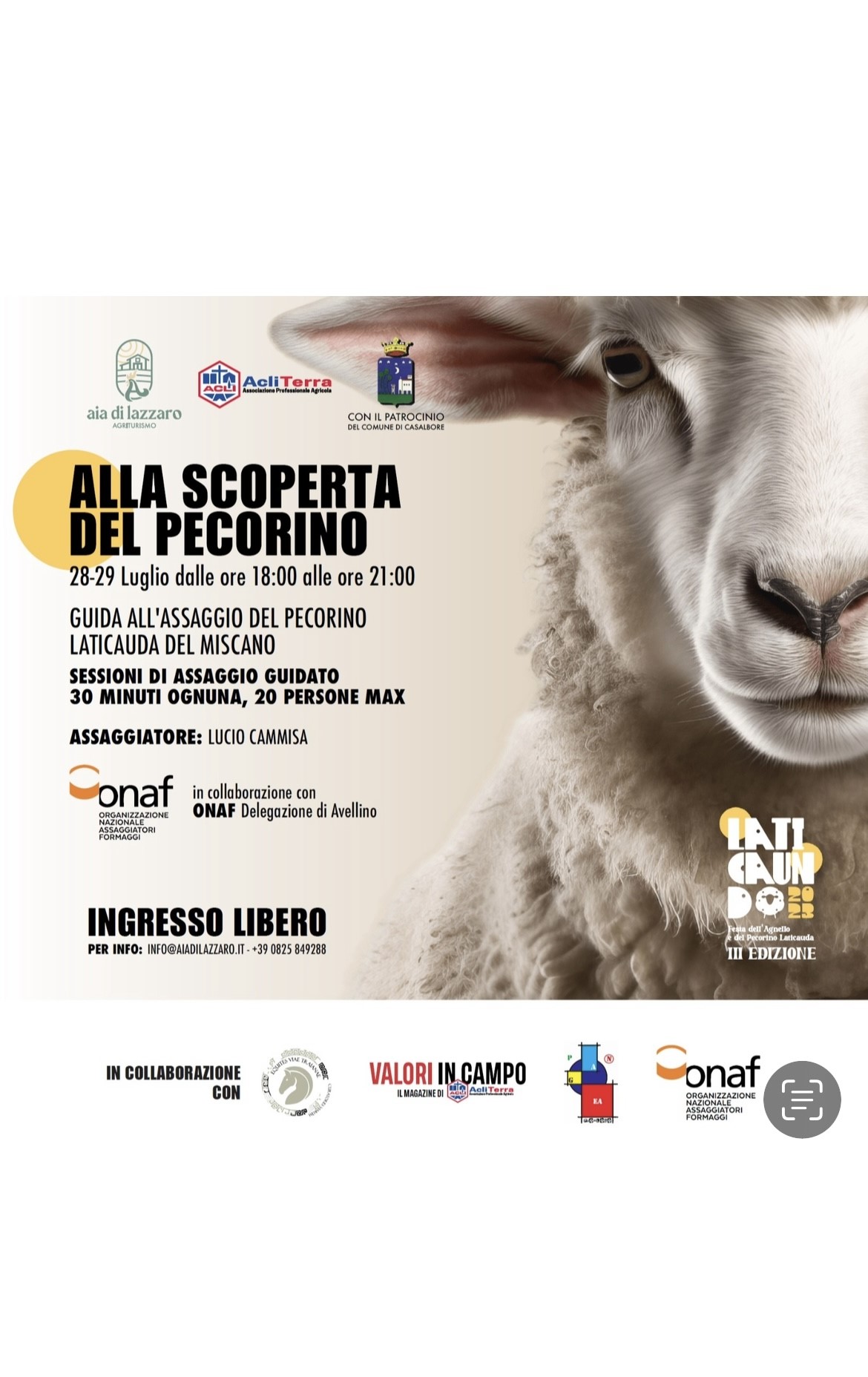 LAUTICANDO : Alla scoperta del pecorino