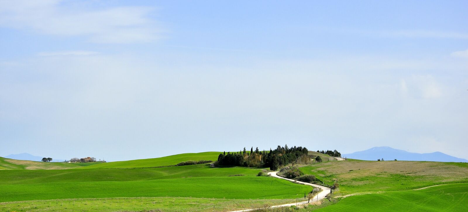 strada.jpg