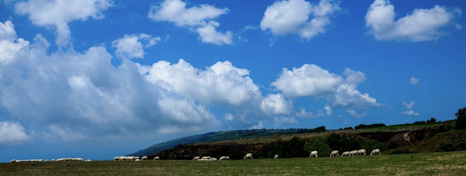 Langhirano (PR), Tradizioni, Colori, Profumi della Calabria