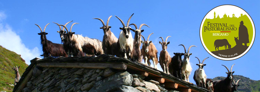 Bergamo, Festival del pastoralismo - Terre d'Alpe