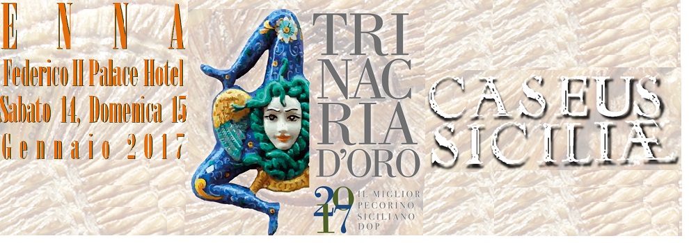 concorso